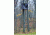 Rivers Edge Treestands Spin Shot Ladder Stand, Black RE637