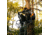 Rivers Edge Treestands Standard 2-Man Ladder Stand, Black, RE649