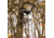 Rivers Edge Treestands Uppercut - LS Treestand, Black, 22ft 3in, RE671