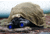 RIX RNV31S 1x27mm Night Vision Binocular