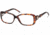 Roberto Cavalli RC0626 Eyeglass Frames - Dark Havana Frame Color