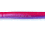 Roboworm Straight Tail Worm, 0.5in, 10 Pack, Aaron's Morning Dawn, ST-H23R