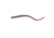Roboworm Straight Tail Worms
