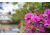 Rokinon 35mm F1.4 UMC Wide Angle Camera Lens for Pentax K Mount, Black RK35M-P