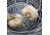 Roots &amp; Harvest Black Garlic Multi-Purpose Fermenter, Stainless Steel/Black, 1566