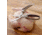 Roots &amp; Harvest Poultry, Shears, 1684