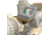 Rotapoint Watch Cap WNT34 Red Dot Sight Mount, FDE, WNT34
