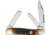 Rough Rider Lg Stockman Brown Stag Bone Folding Knife, Mirror SS Clip, Sheepsfoot, Spey Blades, Brown Stag Bone Handle, KC015R