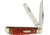 Rough Rider Mini Trapper Red Picked Bone Folding Knife, SS Clip/ Spey Blades, Red Pick Bone Handle, Blade Etching, KB205 / RR1678