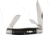 Rough Rider Common Stock D2 Black Micarta Knife, RRR008 COMMON STOCK