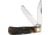 Rough Rider Jumbo Trapper Cinnamon Knife, 4.5in Closed, Mirror Carbon Steel Clip/Spey Blades, Cinnamon Stag Bone Handle, KB322H