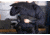 RTS Tactical Heros Concealable Carrier