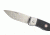 Ruger ACCURATE FOLDER, Black Handle, 3.38, R2203