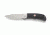 Ruger ACCURATE FOLDER, Black Handle, 3.38, R2203