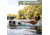 Rugged Road 45 V2 Cooler, Forest Green, RR45-V2-Forest Green