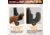 Rush Creek Creations 2-Piece Padded Gun Display Wall Hooks, Black, 38-5073