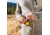 Sabre Frontiersman Bear Bell W/ Velcro Strap, Yellow - BB-01-YW