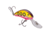 Salmo Hornet 40 Crankbaits, Gold Beast, 4cm/1.5in, QHT1148