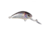 Salmo Hornet 40 Crankbaits, Supernatural Alewife, 4cm/1.5in, QHT1161