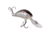 Salmo Hornet 40 Crankbaits, Supernatural Alewife, 4cm/1.5in, QHT1161