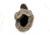 Santana Canada Micah High Shaft Winter Boot - Womens, Olive/Mustard, 6, MICAHOLIVE / MUSTARD6