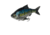 Savage Gear 3D Gizzard Swim Soft Bait