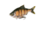 Savage Gear 3D Gizzard Swim Soft Bait