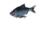 Savage Gear 3D Gizzard Swim Soft Bait
