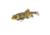 Savage Gear 3D Sucker Swimbait Soft Bait