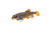 Savage Gear 3D Sucker Swimbait Soft Bait