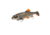 Savage Gear 3D Sucker Swimbait Soft Bait