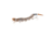 Savage Gear 3D Wake Snake Topwater Hard Bait