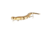 Savage Gear 3D Wake Snake Topwater Hard Bait
