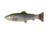 Savage Gear 4D Splitfin Pulse tail Trout 6in Ghost Trout, SPT-150-GT