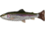 Savage Gear 4D Splitfin Pulse tail Trout 6in Trout, SPT-150-T