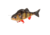 Savage Gear 4D Yellow Perch Soft Bait