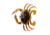 Savage Gear Toughtec Crab Soft Bait, Pack of 1, 0.75in, Light Brown Olive, 1586643