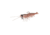 Savage Gear Manic Shrimp RTF V2 Soft Bait