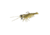 Savage Gear Manic Shrimp RTF V2 Soft Bait