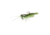 Savage Gear Manic Shrimp RTF V2 Soft Bait