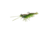 Savage Gear Manic Shrimp RTF V2 Soft Bait
