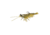 Savage Gear Manic Shrimp RTF V2 Soft Bait