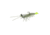 Savage Gear Manic Shrimp RTF V2 Soft Bait