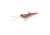 Savage Gear Manic Shrimp RTF V2 Soft Bait