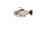 Savage Gear Pulse Tail Baitfish RTF Soft Bait