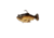 Savage Gear Pulse Tail Baitfish RTF Soft Bait