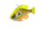 Savage Gear Pulse Tail Bluegill Line Thru Soft Bait