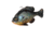 Savage Gear Pulse Tail Bluegill Line Thru Soft Bait