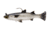 Savage Gear Pulse Tail Mullet 3" RTF Silver Mullet 2 pc, 3710