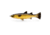 Savage Gear Pulse Tail Mullet 5" 2+1 LB Golden Mullet, 2569